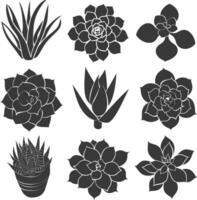 Silhouette Succulent plant black color only vector