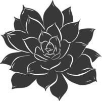 Silhouette Succulent plant black color only vector