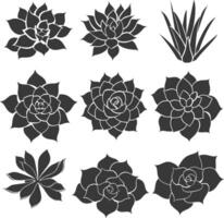 Silhouette Succulent plant black color only vector