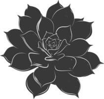 Silhouette Succulent plant black color only vector