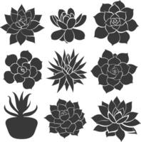 Silhouette Succulent plant black color only vector