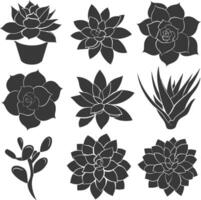 Silhouette Succulent plant black color only vector