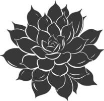 Silhouette Succulent plant black color only vector