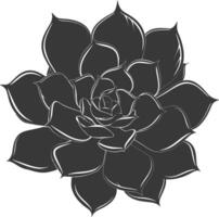 Silhouette Succulent plant black color only vector