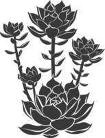 Silhouette Succulent plant black color only vector