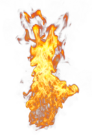 Fire flames looped on transparency background png