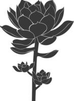 Silhouette Succulent plant black color only vector