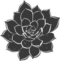 Silhouette Succulent plant black color only vector