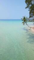 kristall klar turkos hav på paradis ö i thailand. video