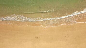 parte superior ver de cristal claro Oceano olas en arenoso playa, natural antecedentes. video