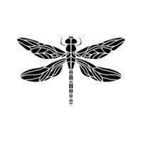 dragonfly black and white illustration isolated on white background. black and white Realistic hand drawing of dragonfly insect on white background vector