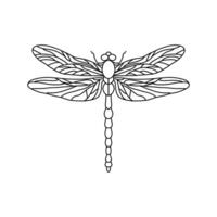 Black Dragonfly Sign Symbol Icon Logo . Dragonfly outline Isolated dragonfly on white background vector