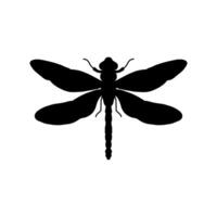 dragonfly black and white silhouette illustration. black and white Realistic hand drawing of dragonfly insect on white background vector