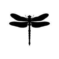 dragonfly black and white silhouette illustration. black and white Realistic hand drawing of dragonfly insect on white background vector
