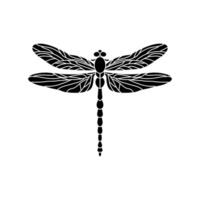 dragonfly black and white illustration isolated on white background. black and white Realistic hand drawing of dragonfly insect on white background vector