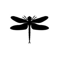 libélula negro y blanco silueta ilustración. negro y blanco realista mano dibujo de libélula insecto en blanco antecedentes vector
