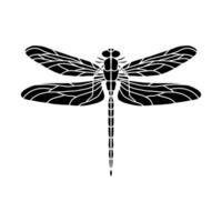 libélula negro y blanco ilustración aislado en blanco antecedentes. negro y blanco realista mano dibujo de libélula insecto en blanco antecedentes vector