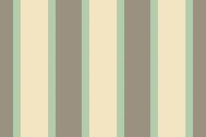 Seamless textile of lines fabric vertical with a stripe pattern texture background. vector