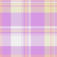 Fancy texture check fabric, hispanic pattern seamless textile. Teenager tartan background plaid in light and white colors. vector