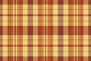 Pattern tartan of texture plaid fabric with a textile seamless background check. vector