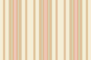 Texture seamless vertical of lines fabric stripe with a pattern background textile. vector