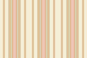 Texture seamless vertical of lines fabric stripe with a pattern background textile. vector