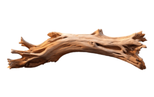 Driftwood on White Transparent Background png