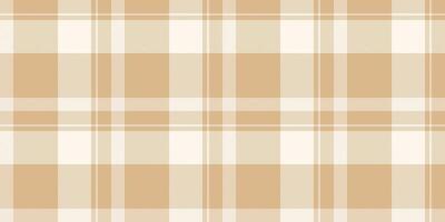 Top plaid pattern fabric, product tartan texture check. Windowpane textile seamless background in burly wood and sea shell colors. vector