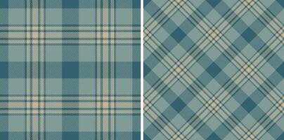 Fabric check of pattern textile texture with a tartan background plaid seamless. vector