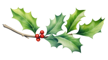 Simple Watercolor Holly Leaf in Isolation on isolated Transparent background. Format png