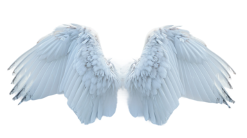 neige ange ailes sur transparent Contexte png