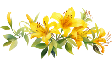 Simple Yellow Floral Element in Watercolor on isolated Transparent background. Format png