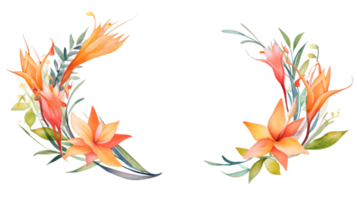 Delightful Watercolor Wreath with Bird of Paradise on isolated Transparent background. Format png