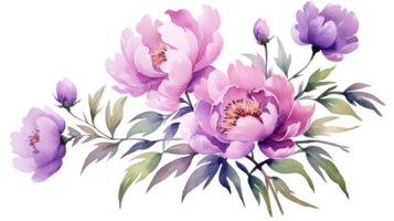 Isolated Watercolor Pink and Purple Flower Element on isolated Transparent background. Format png