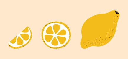 Lemon, a piece of a mug and a slice. Cut Round Piece. Sour fruit pulp. Yellow citrus peel. Doodle style. Color image. Isolated objects. illustration. vector