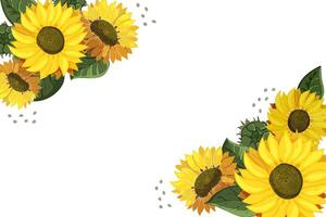Sunflowers at corners of the border. Template with Place for text on white background. Like watercolor. Summer bright wildflowers. Bouquet of heads of yellow flowers. Invitation. illustration. vector