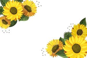 girasoles a rincones de el borde. modelo con sitio para texto en blanco antecedentes. me gusta acuarela. verano brillante flores silvestres ramo de flores de cabezas de amarillo flores invitación. ilustración. vector