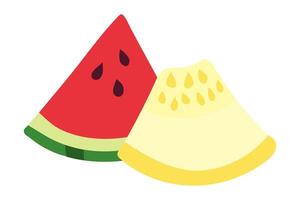 Pieces of yellow melon and watermelon. Quarter of melon and watermelon. Summer fruits. Sweet pulp with seeds. Juicy Food. isolated object. Color image. illustration. vector