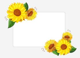 Sunflowers with frame for text. White invitation card template with place for text. Like watercolor. Border with summer bright wildflowers. Bouquet of heads of yellow flowers. illustration. vector