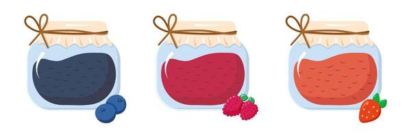 Set of berry jams. Glass jars with blueberries, raspberries and strawberries. Stocks for the winter, canned food. Harvest. Sweet Food. Collection of jam flavors. isolated object. illustration. vector