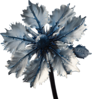 Enchanted frost flower, clipart for decoration. Ai-Generated. png