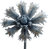 Enchanted frost flower, clipart for decoration. Ai-Generated. png