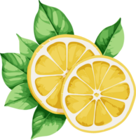 succoso acquerello Limone fette isolato cartone animato illustrazione, design elemento clipart per cucinando, essenziale ingredienti, salutare cibo ricette, vegetariano, acida gusto png