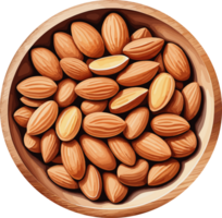 watercolor almond nut in a wooden bowl isolated illustration on transparent background , design element for cooking, healthy food, ingredients, vegetarian, protein, nutrition, organic snack png