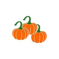 pumpkin logo design illustration vector