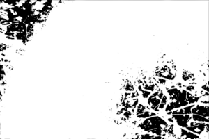 Rustic grunge texture with grain and stains. Abstract noise background. Graphic illustration with transparent background. png