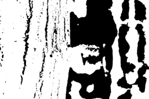 Rustic grunge texture with grain and stains. Abstract noise background. Graphic illustration with transparent background. png