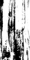 rustik grunge textur med spannmål och fläckar. abstrakt ljud bakgrund. grafisk illustration med transparent bakgrund. png