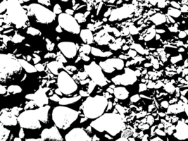 Rustic grunge texture with grain and stains. Abstract noise background. Graphic illustration with transparent background. png