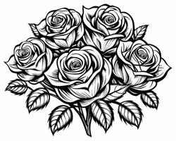 Black and white rose vector